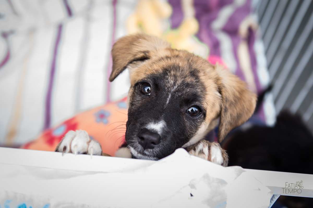 corporativo, negocios, business, trabalho, empresario, empresa, work, profissional, branding, empreendedorismo, empreendedor, comercio, comerciante, executivo, diretor, líder, marketing, publicidade, 