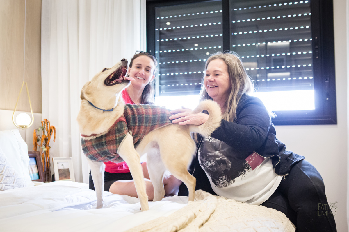 corporativo, negocios, business, trabalho, empresario, empresa, work, profissional, branding, empreendedorismo, empreendedor, comercio, comerciante, executivo, diretor, líder, marketing, publicidade, 