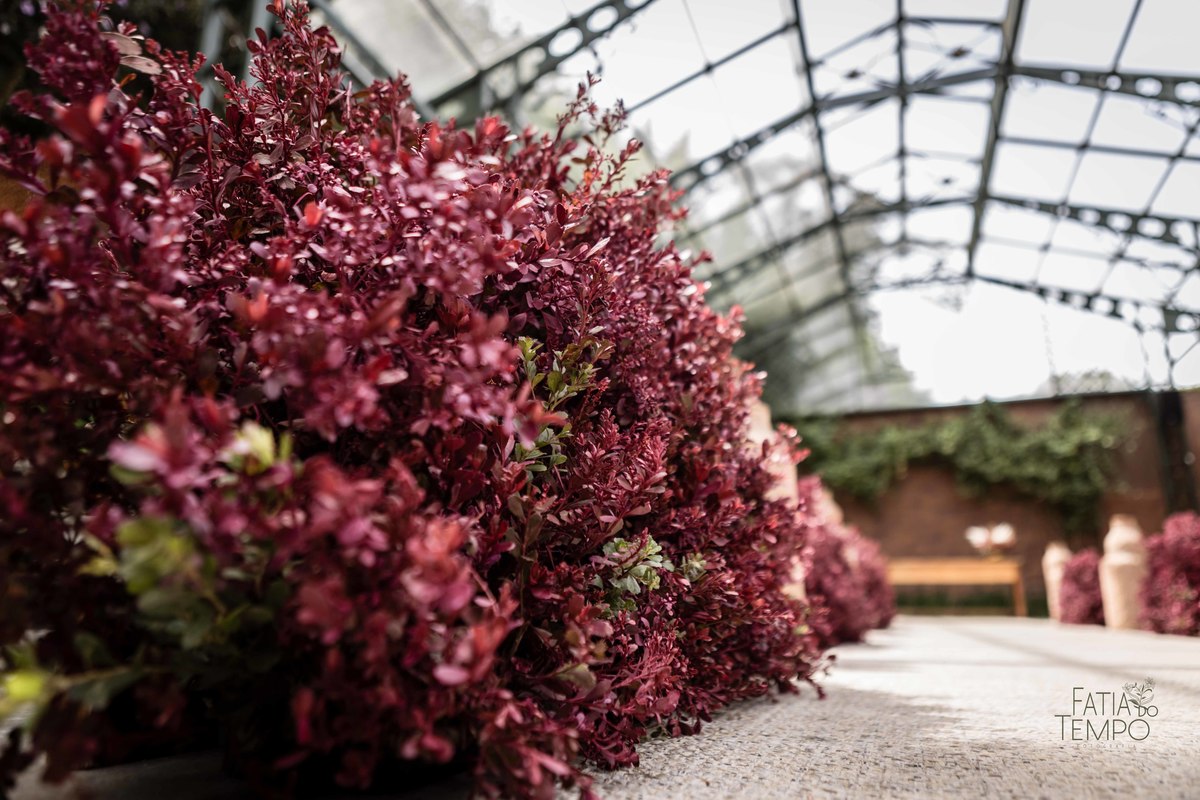 casamento, wedding, decoração, assessoria, vestido de noiva, noiva, noivo, casamento no campo, foto profissional, balada, festa, drinks, som e iluminação, gastronomia, luxo, glamour, festa dos sonhos, mini wedding, 