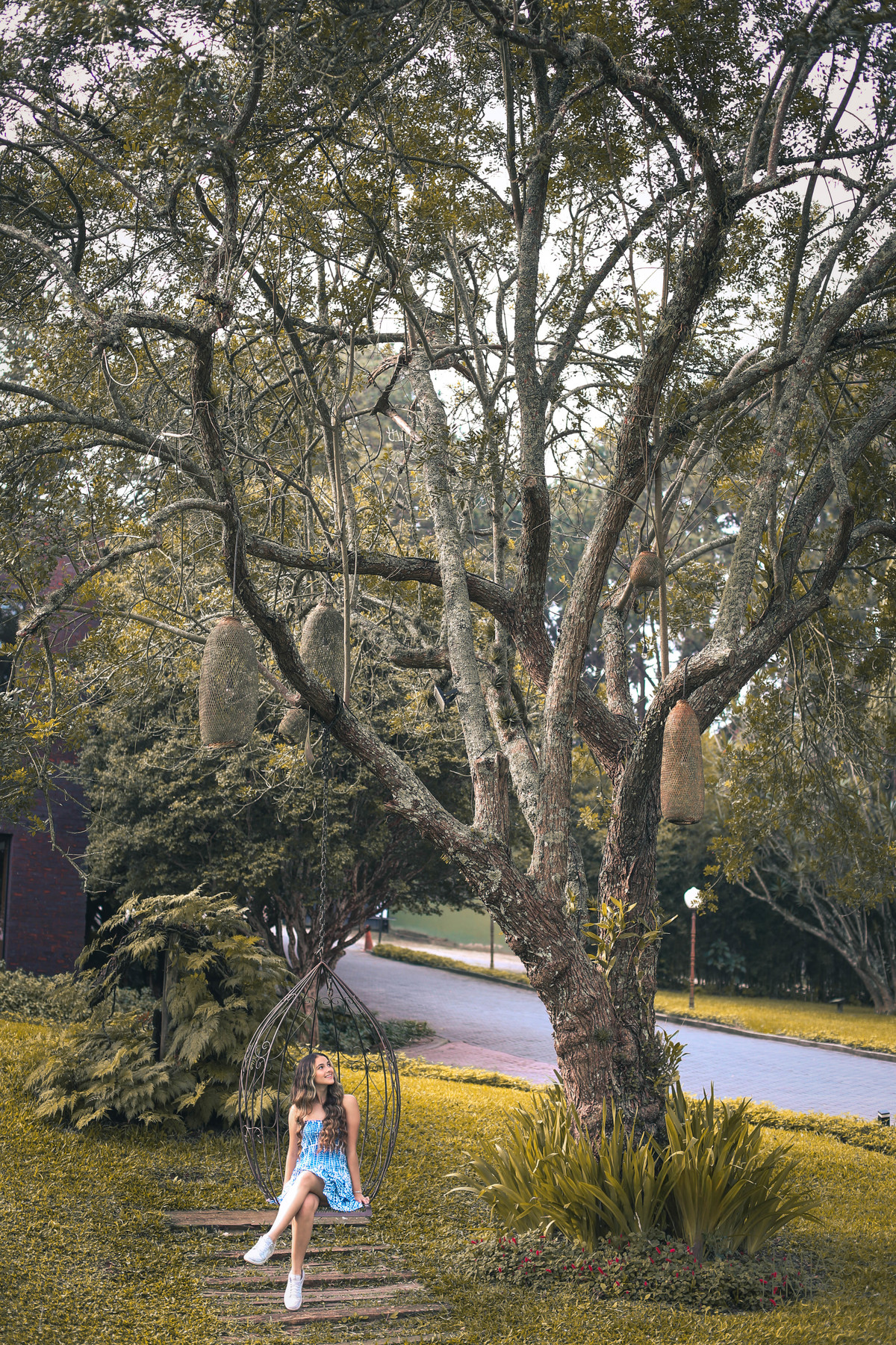 ensaio fotográfico, 15 anos, debutante, Sítio São Jorge, natureza, campo, vestido de debutante, luz natural, pôr do sol, elegância, juventude, celebração, flores, fotos externas, ensaio ao ar livre, beleza natural, sorriso, espontaneidade, emoção, estilo,