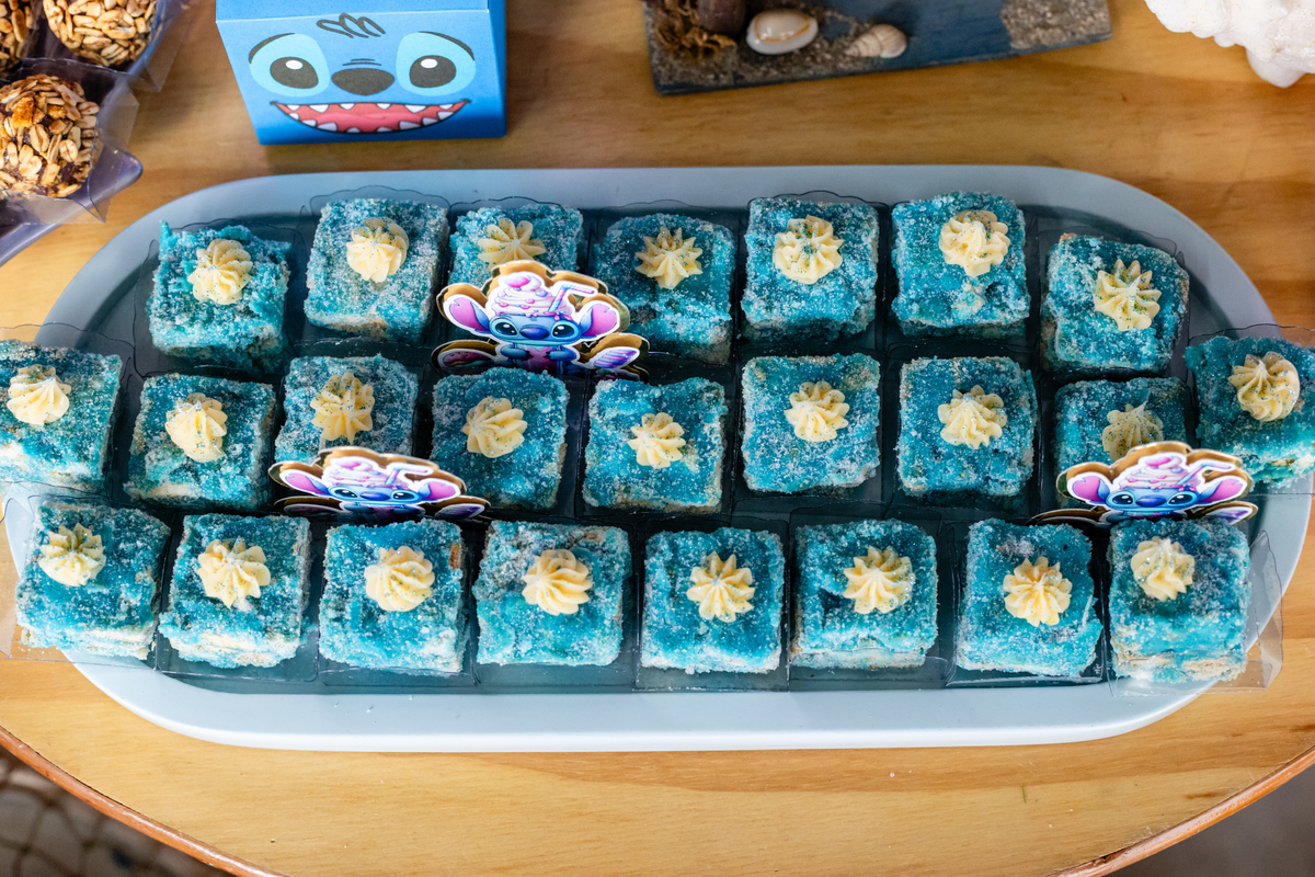 aniversário infantil, aniversário temático, festapiscina, lilo stich, aniversário3anos, 3 anos, fotografia ifantil, festa de criança, 3anos, 6 anos, irmãos, festa de aniversário, decoração de festa.