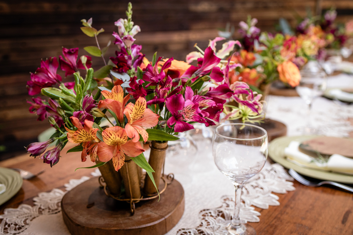 aniversario50, amazonia, floresta, 50 anos, festa de aniversario, festa deaniversarioadulto, fotografia, fotografia de festa, decoração de festa, party, festa temática, celebração, parabéns