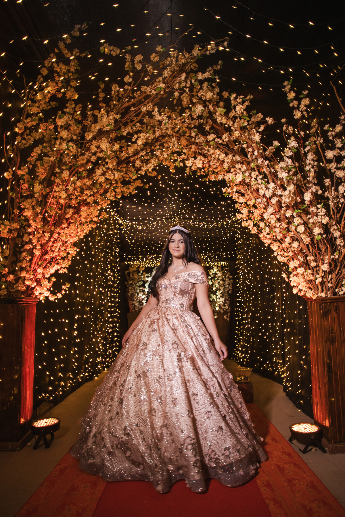 ensaio fotográfico, 15 anos, debutante, Museu do Ipiranga, museu, natureza, campo, vestido de debutante, luz natural, sol, elegância, juventude, celebração, flores, fotos externas, ensaio ao ar livre, beleza natural, sorriso, espontaneidade, emoção
