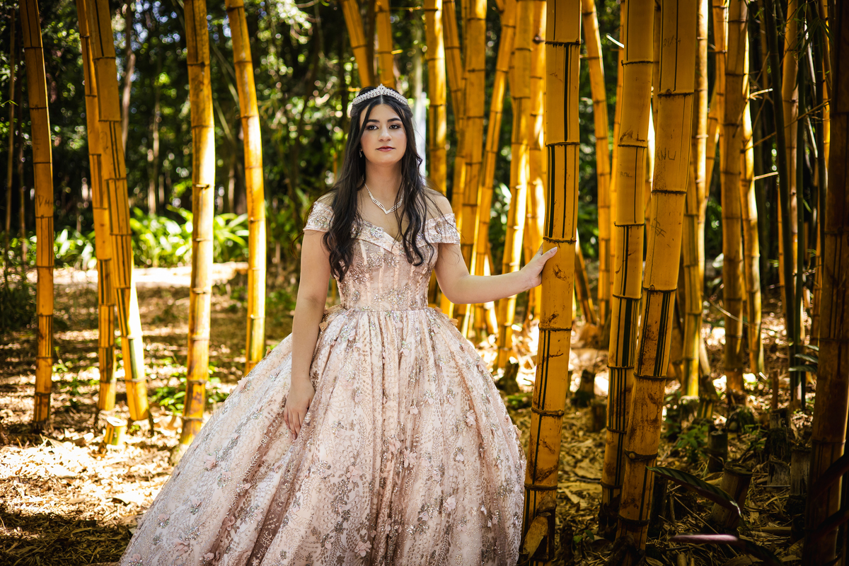 ensaio fotográfico, 15 anos, debutante, Museu do Ipiranga, museu, natureza, campo, vestido de debutante, luz natural, sol, elegância, juventude, celebração, flores, fotos externas, ensaio ao ar livre, beleza natural, sorriso, espontaneidade, emoção
