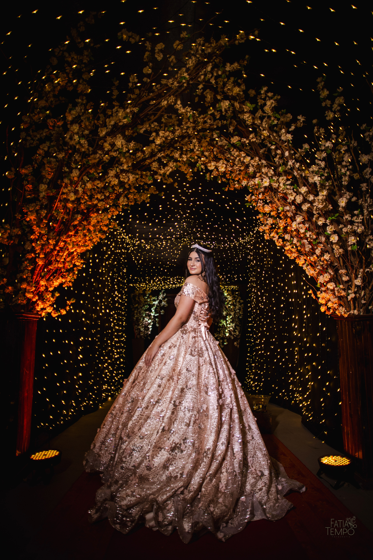 ensaio fotográfico, 15 anos, debutante, mansão  , museu, natureza, campo, vestido de debutante, luz natural, museu, elegância, juventude, celebração, flores, fotos externas, beleza natural, sorriso, espontaneidade, emoção