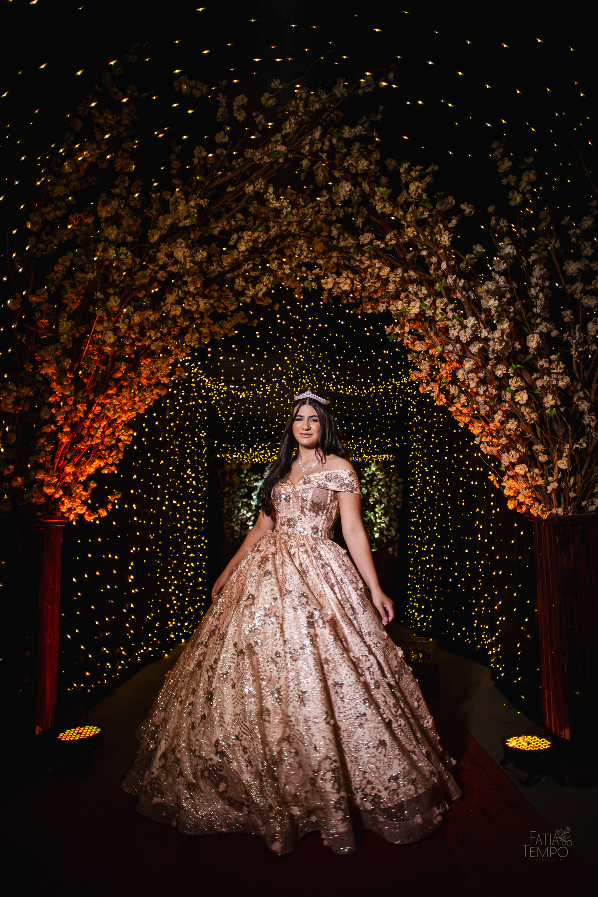 ensaio fotográfico, 15 anos, debutante, mansão  , museu, natureza, campo, vestido de debutante, luz natural, museu, elegância, juventude, celebração, flores, fotos externas, beleza natural, sorriso, espontaneidade, emoção