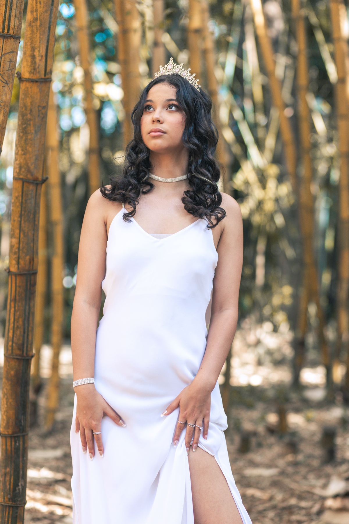 ensaio fotográfico, 15 anos, debutante, Museu do Ipiranga, museu, natureza, campo, vestido de debutante, luz natural, sol, elegância, juventude, celebração, flores, fotos externas, ensaio ao ar livre, beleza natural, sorriso, espontaneidade, emoção