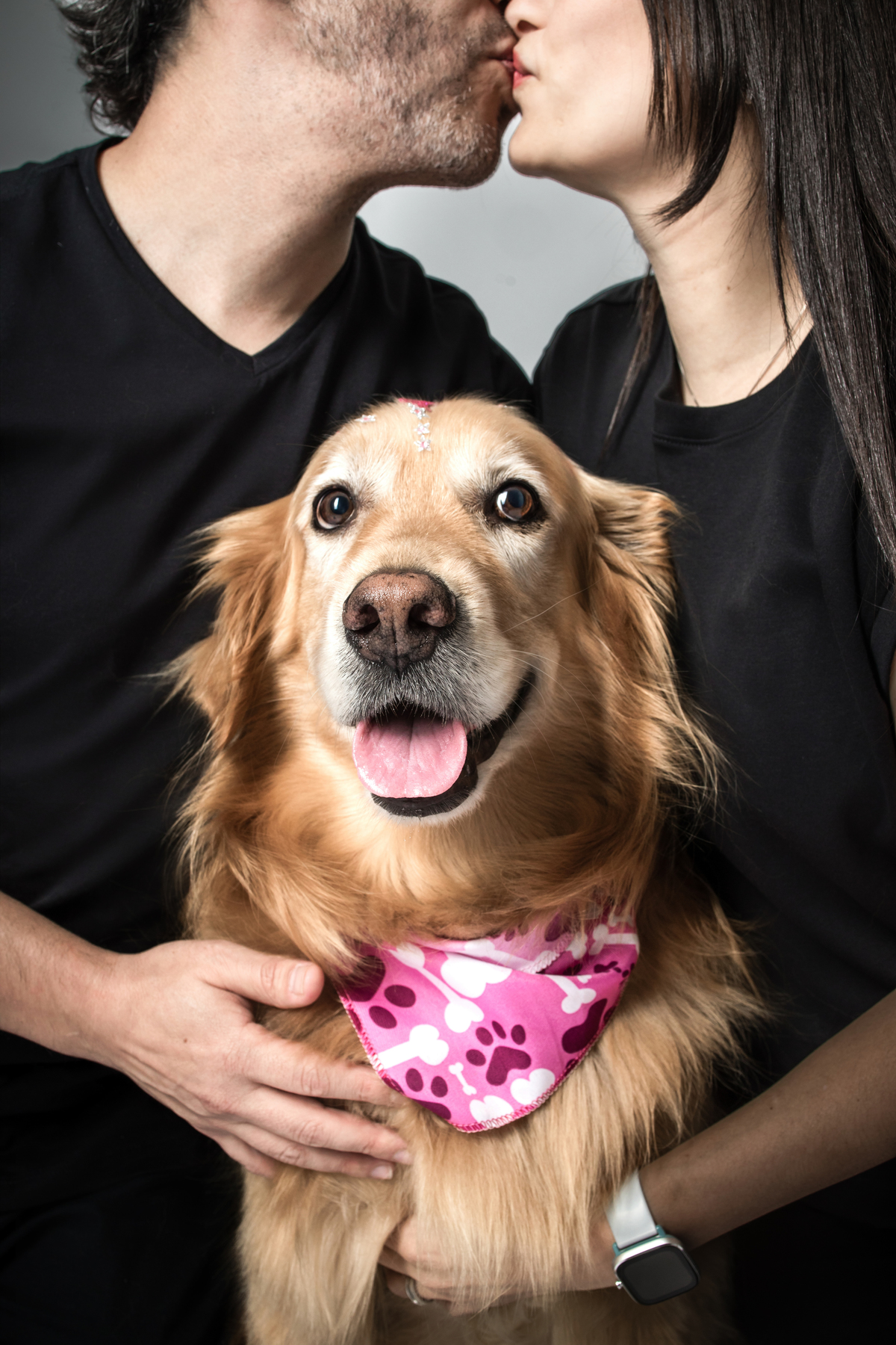 ensaio casal, ensaio pet, casal, amor, ensaio fotográfico, ensaio em estúdio, prewedding, pre casamento, ensaio de casamento, fotos, fotografia, decoração, fotos casa, fotos românticas, Golden, cachorro, ensaio com cachorro