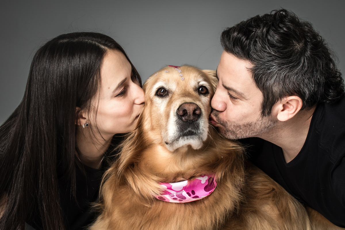 ensaio casal, ensaio pet, casal, amor, ensaio fotográfico, ensaio em estúdio, prewedding, pre casamento, ensaio de casamento, fotos, fotografia, decoração, fotos casa, fotos românticas, Golden, cachorro, ensaio com cachorro