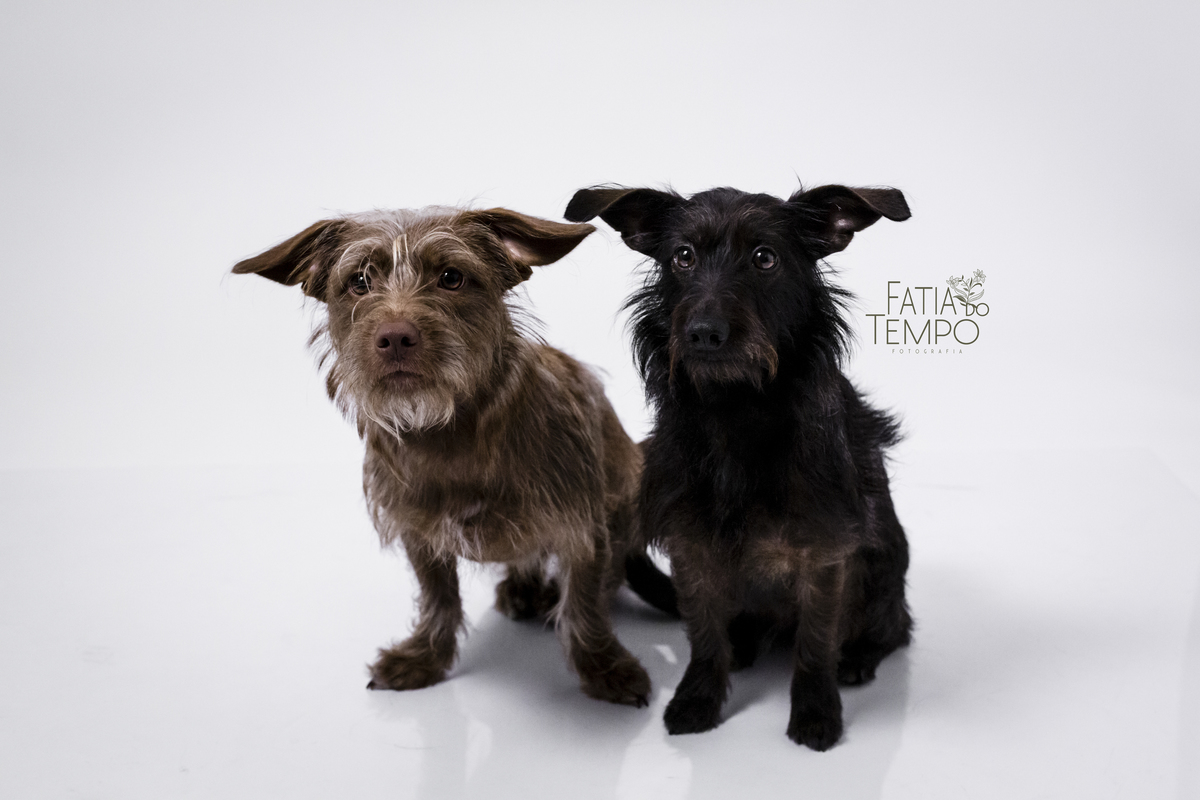 Ensaio de familia, ensaio familia em estudio, estudio lifestyle, estudio em sao caetano do sul, ensaio familiar em estudio, ensaio lindo de familia, familia, mãe e filhos, ensaio mae e filhos, estudio fatia do tempo, fatia do tempo