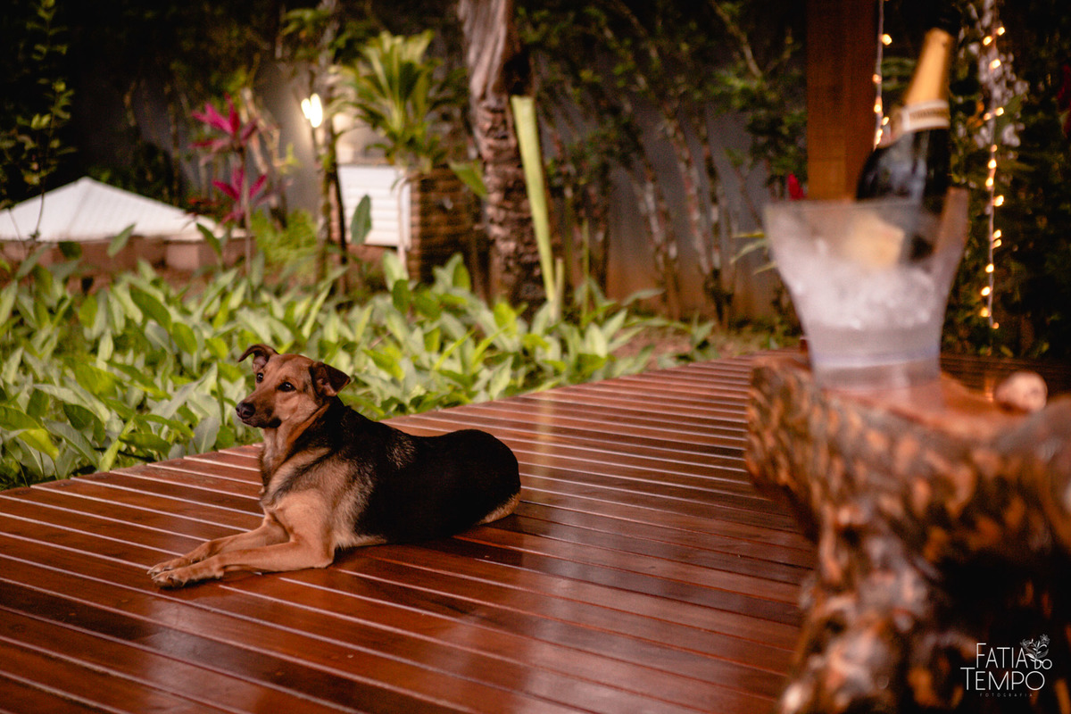 casamento na praia, casamento em ubatuba, casamento guaruja, casamento pé na areia, casamento maresias, casamento good vibes, casamento roots, casamento intimista, mini wedding, casamento, fotos de casamento na praia, praia, casando na praia