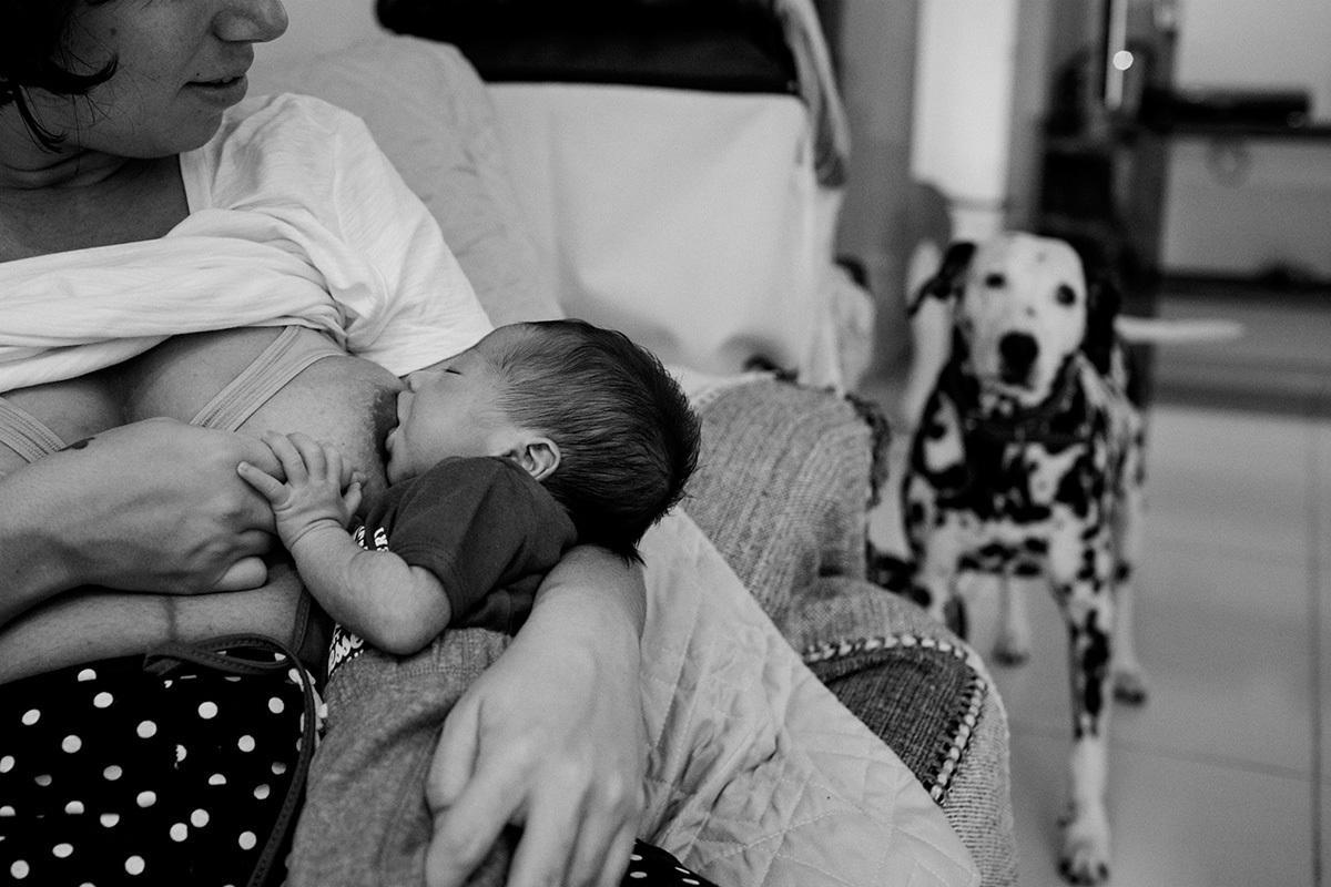 cão observando bebê amamentar em uma fotografia feita por Adriana Costa