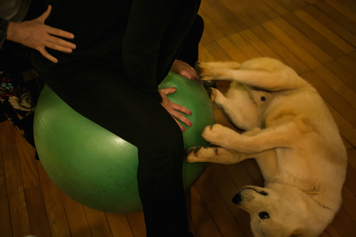 Foto do cão brincando com a gestante no momento do parto, por adrianacostafotos