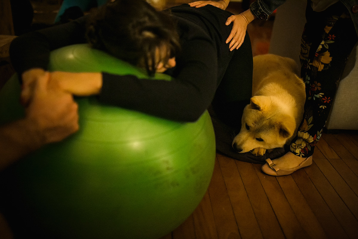 cão deitado aos pés da gestante durante suas contrações em um trabalho de parto, por Adriana Costa