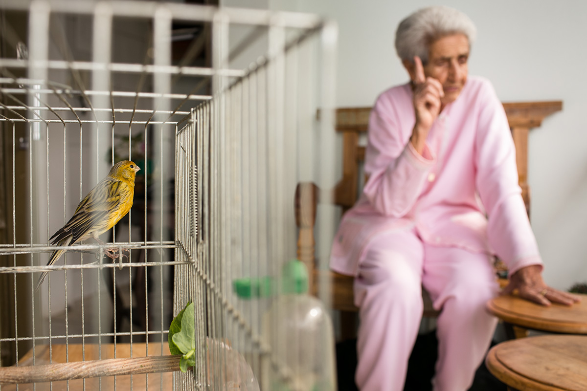 fotografia documental de familia, fotografia de familia, day in the life, um dia na vida, fotografo de familia, fotografo de familia bh, fotografo de familia belo horizonte, familia, adriana costa fotos, adriana costa, fotografa de familia de bh, retratos