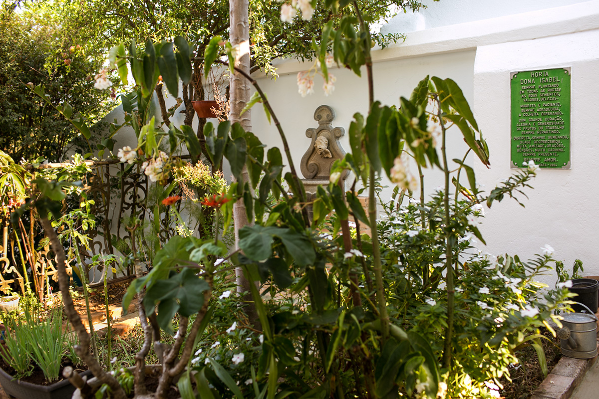 fotografia documental de familia, fotografia de familia, day in the life, um dia na vida, fotografo de familia, fotografo de familia bh, fotografo de familia belo horizonte, familia, adriana costa fotos, adriana costa, fotografa de familia de bh, retratos