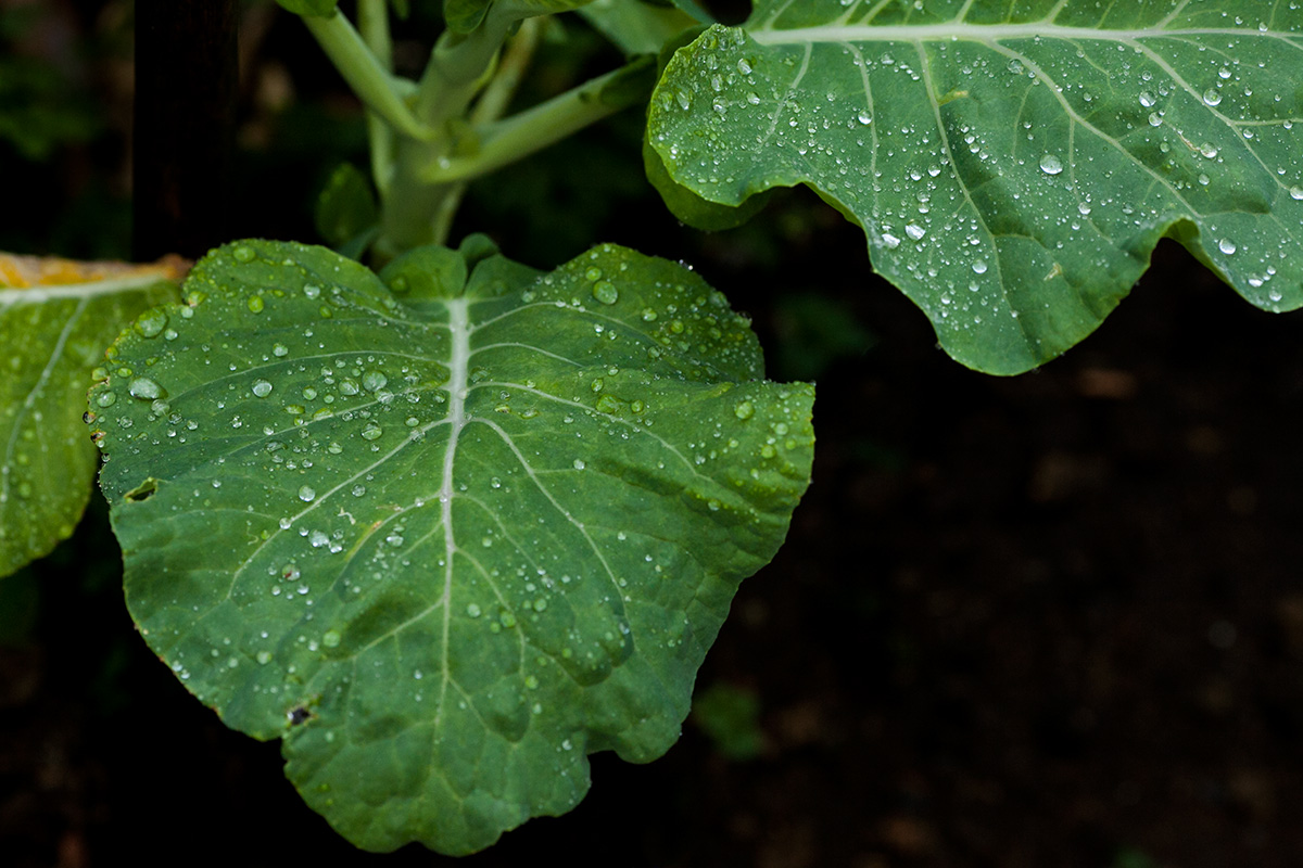 fotografia documental de familia, fotografia de familia, day in the life, um dia na vida, fotografo de familia, fotografo de familia bh, fotografo de familia belo horizonte, familia, adriana costa fotos, adriana costa, fotografa de familia de bh, retratos