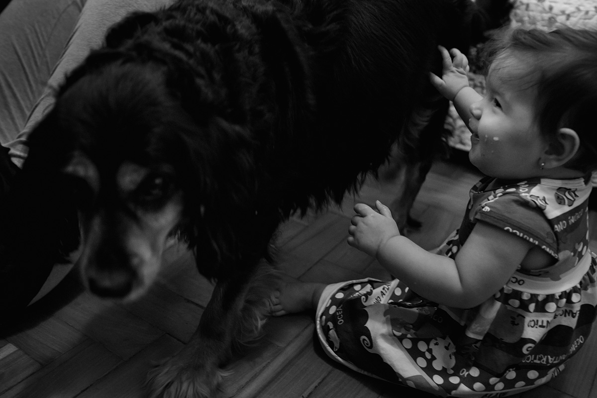 fotografia documental de familia, fotografia de familia, day in the life, um dia na vida, fotografo de familia, fotografo de familia bh, fotografo de familia belo horizonte, familia, adriana costa fotos, adriana costa, fotografa de familia de bh, retratos