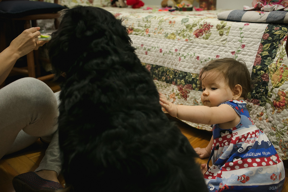 fotografia documental de familia, fotografia de familia, day in the life, um dia na vida, fotografo de familia, fotografo de familia bh, fotografo de familia belo horizonte, familia, adriana costa fotos, adriana costa, fotografa de familia de bh, retratos