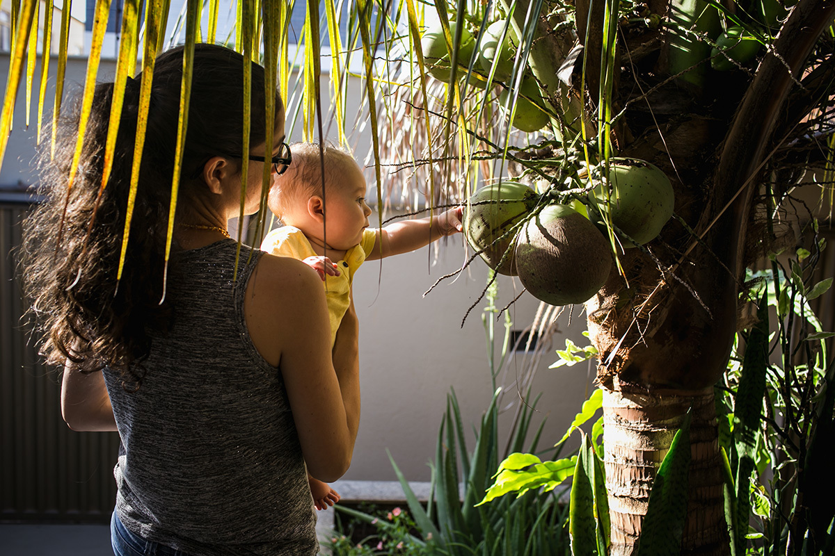 mãe mostrando o coqueiro para o seu filho