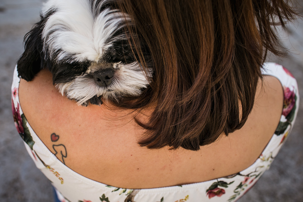cachorrinha no colo da gestante, a qual possui uma tatuagem dela nas costas