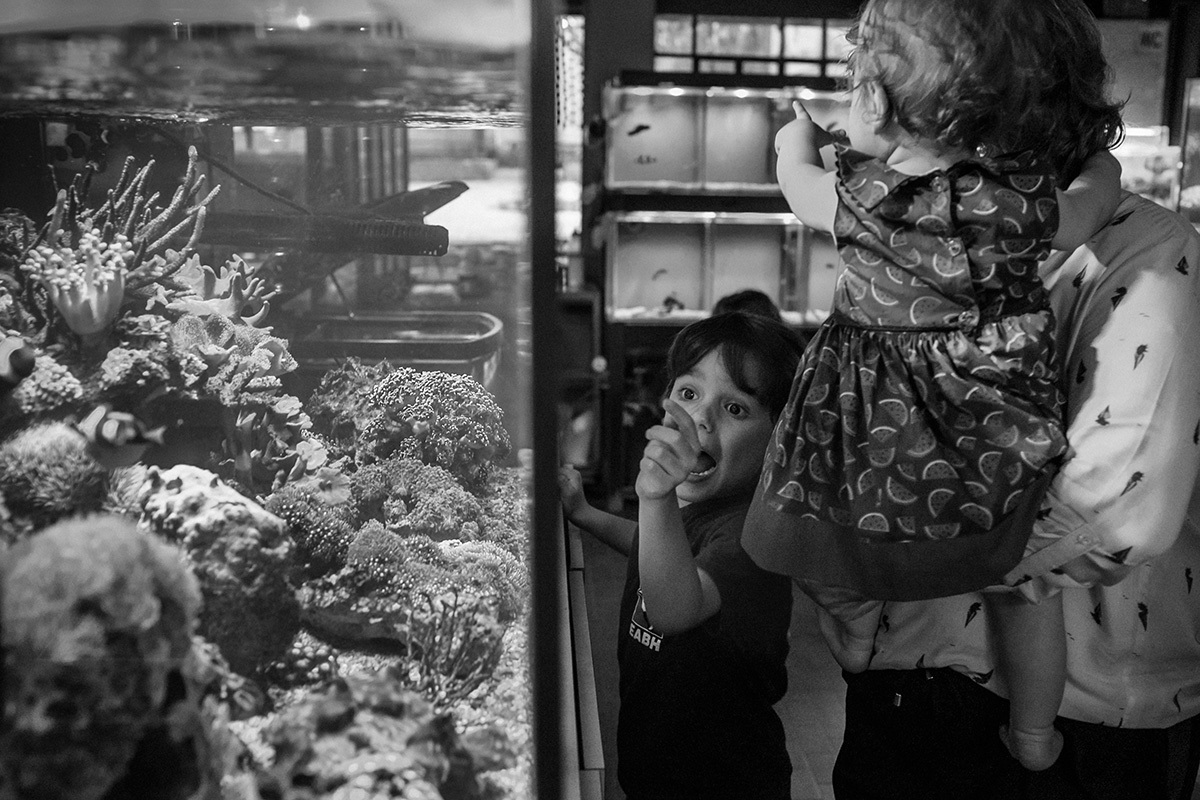 crianças se divertindo no Aquário de Belo Horizonte, por Adriana Costa