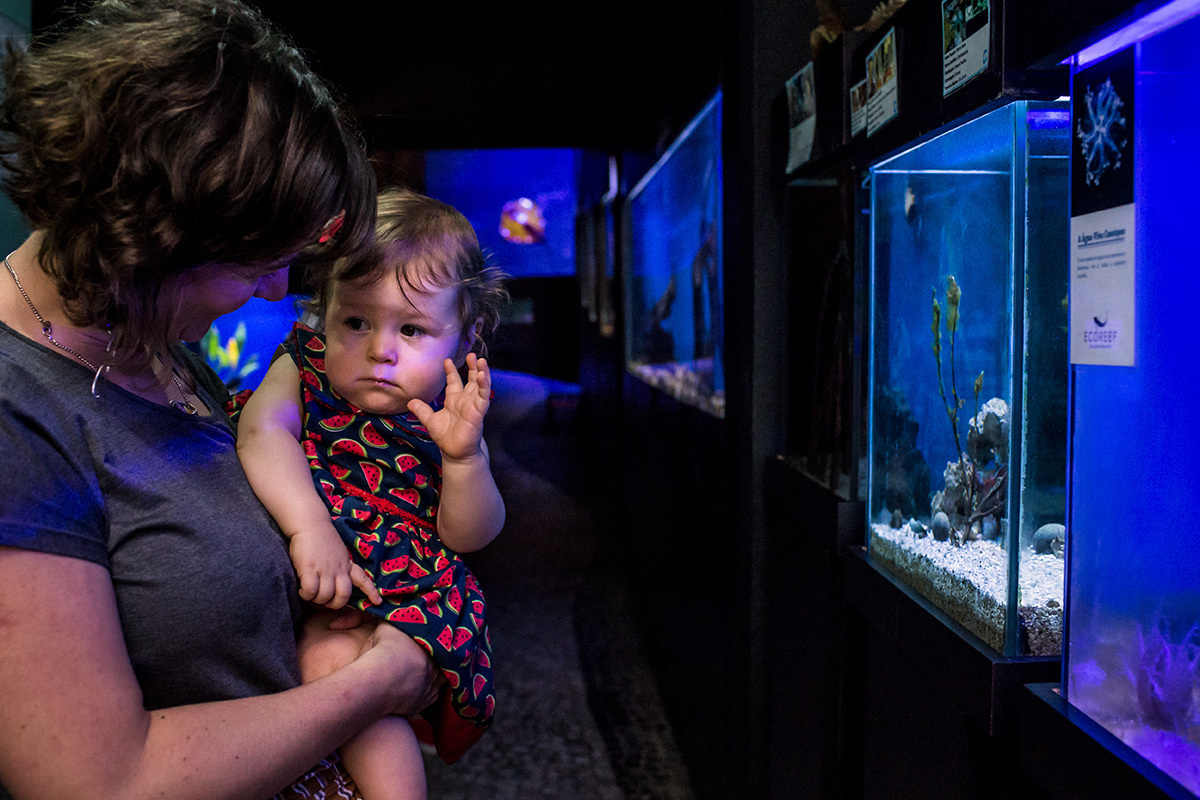 Bebê de um ano comemorando seu aniversário no Aquário de Belo Horizonte, em foto de Adriana Costa