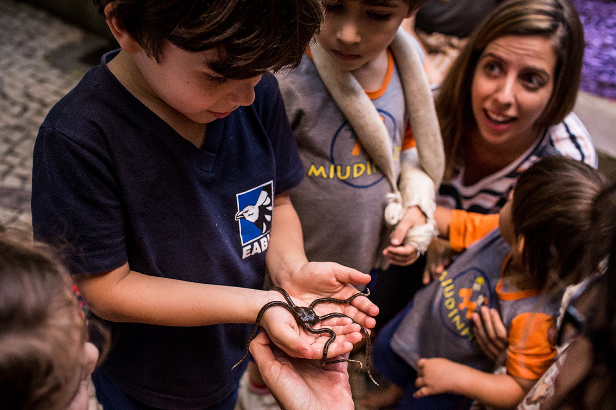crianças e adultos clocando na mão estrela marinha 
