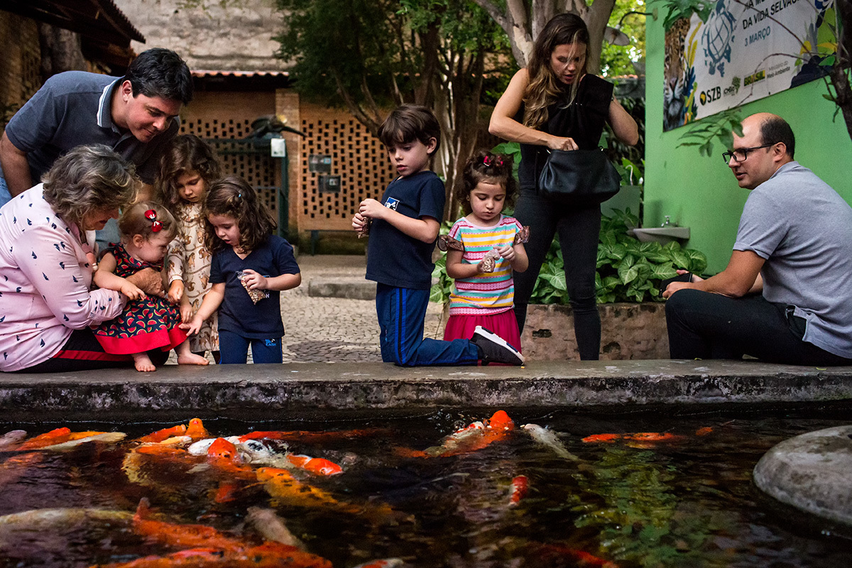 crianças jogando alimento para os peixes, por Adriana Costa