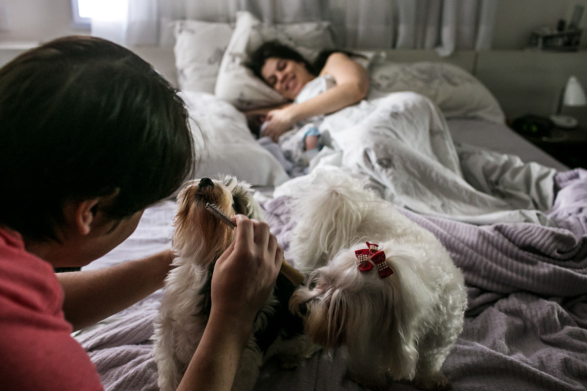marido cuida dos cães da casa enquanto a esposa amamenta seu bebê na cama, por Adriana Costa