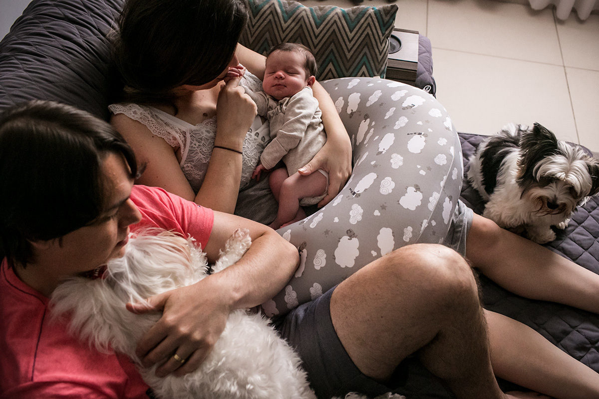 Adriana Costa fotografou família reunida no período de puerpério: pais, bebê e cães