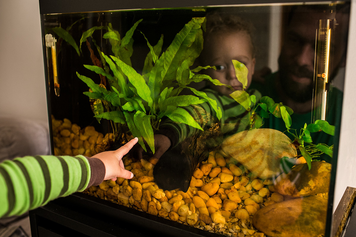 foto de Adriana Costa do reflexo pai e filho no aquário da casa