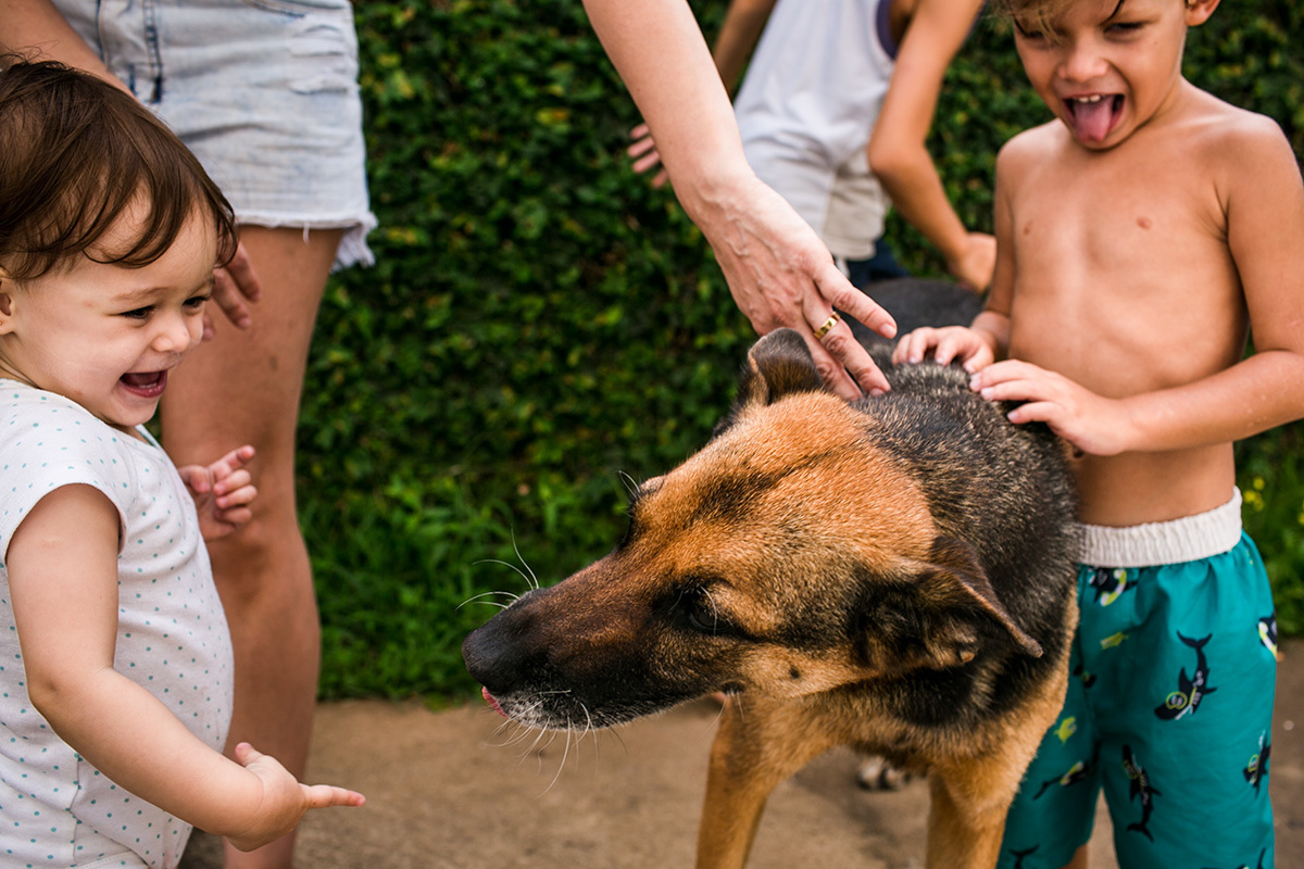 crianças brincando com o cachorro