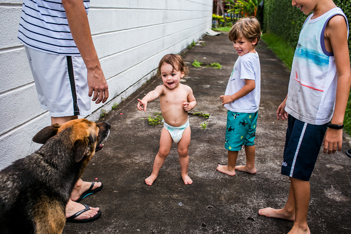 crianças brincam com o cachorro da casa