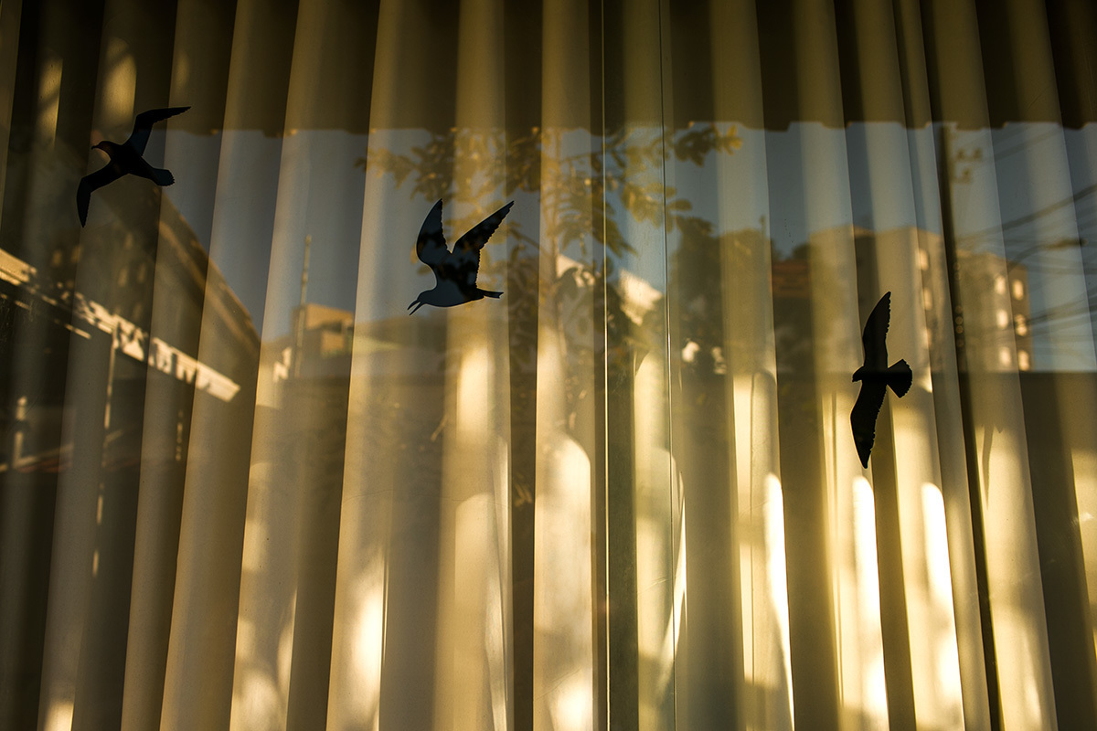 dia nascendo durante o trabalho de parto