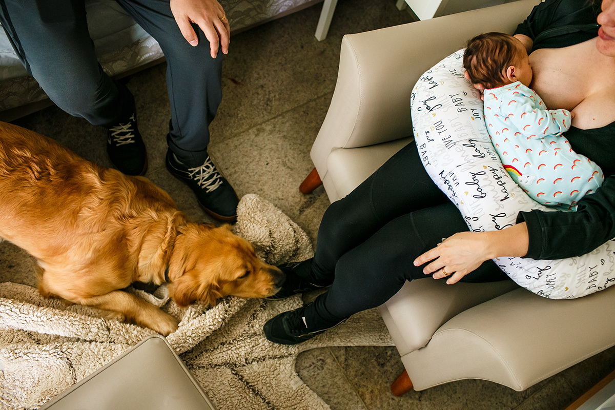 cachorro da família vigia bebê sendo amamentado em foto de Adriana Costa