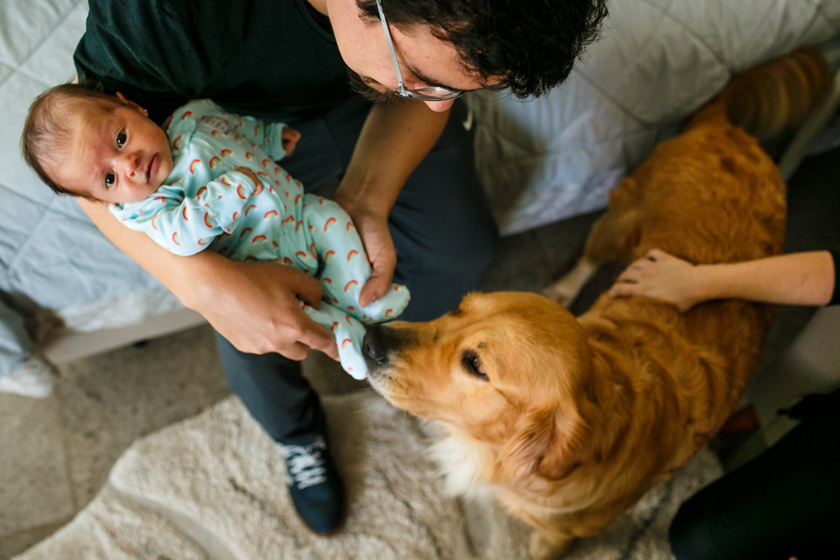 cão cheira os pés do bebê recém-nascido