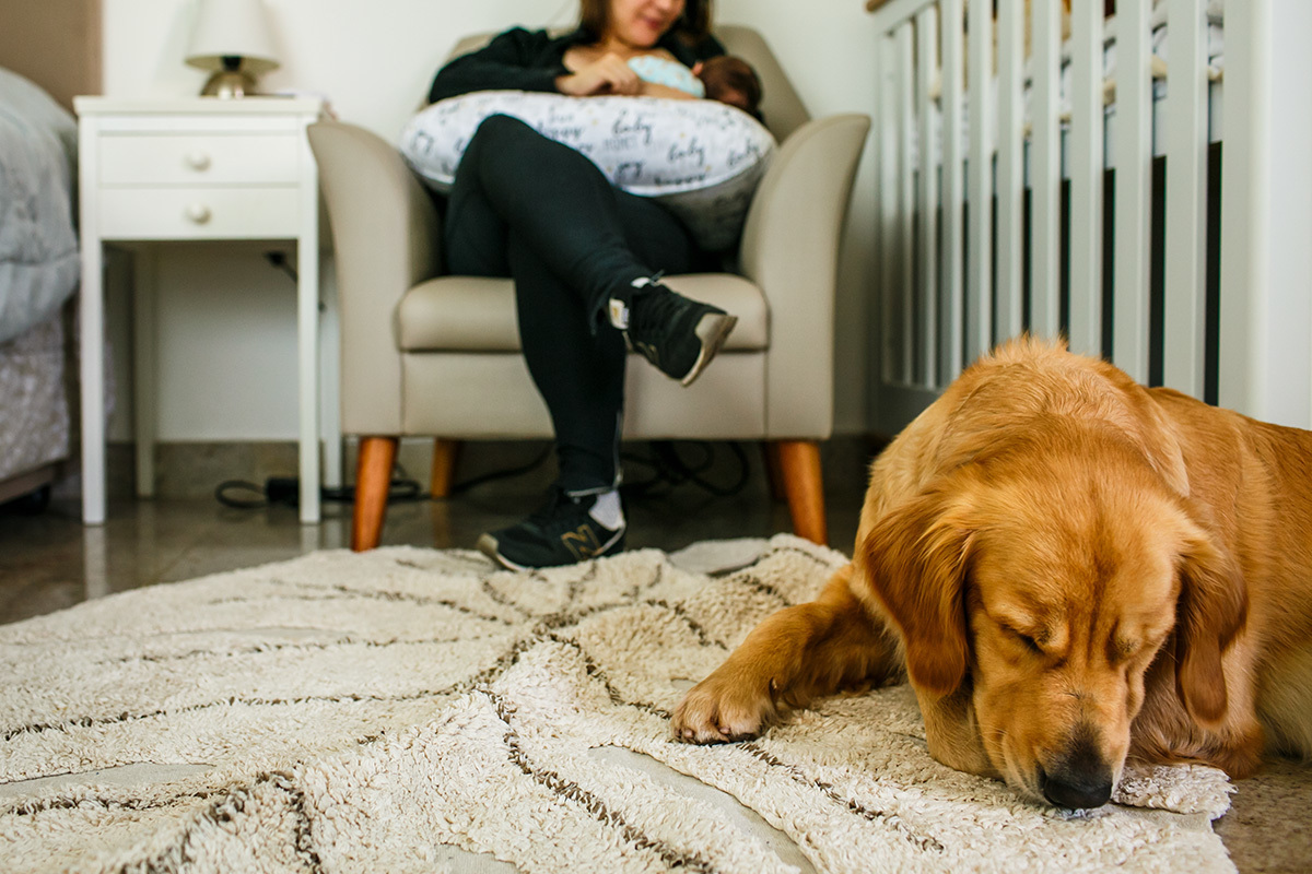 cão adormece ao lado da sua dona que está amamentando sua bebê recém-nascida