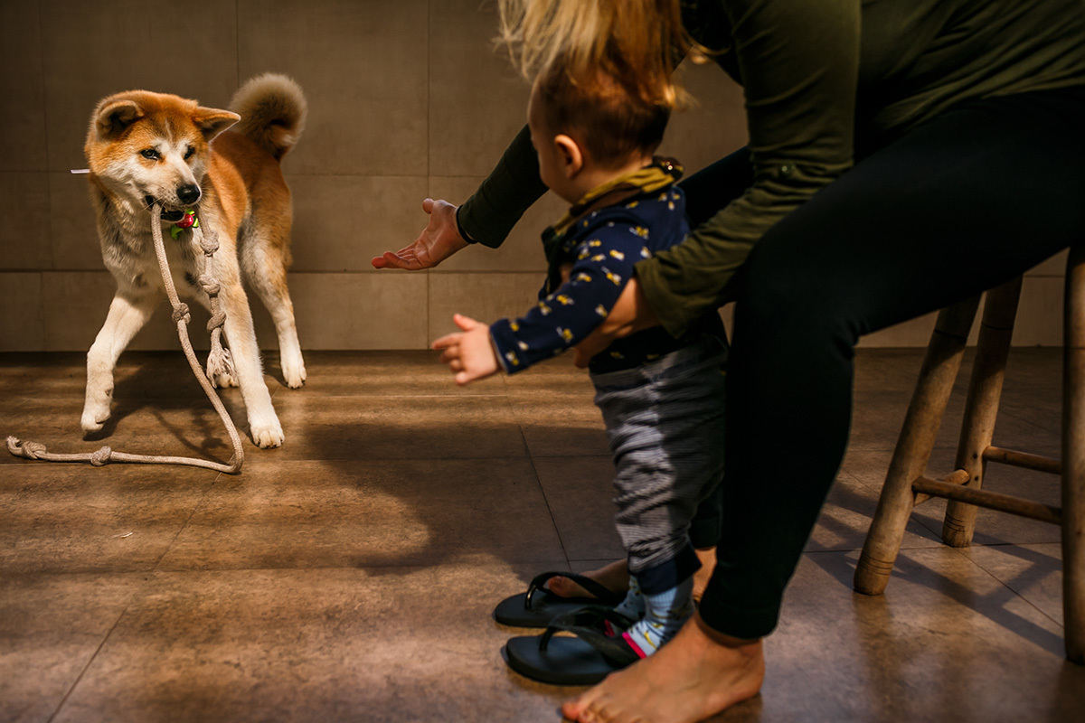 bebê brincando com o seu cão