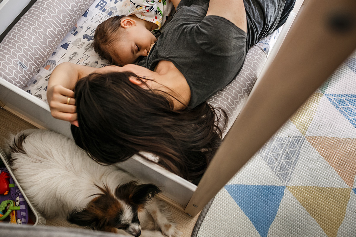 bebê amamentando para dormir ao lado do cão da família