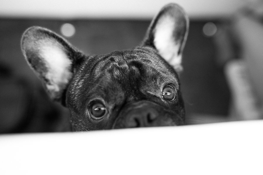 Casamento em Búzios, Barbara e Rodrigo, Destination Wedding na Pousada Praia Rasa, Decoração: Vagalumes e Pirilampos, Foto 44
