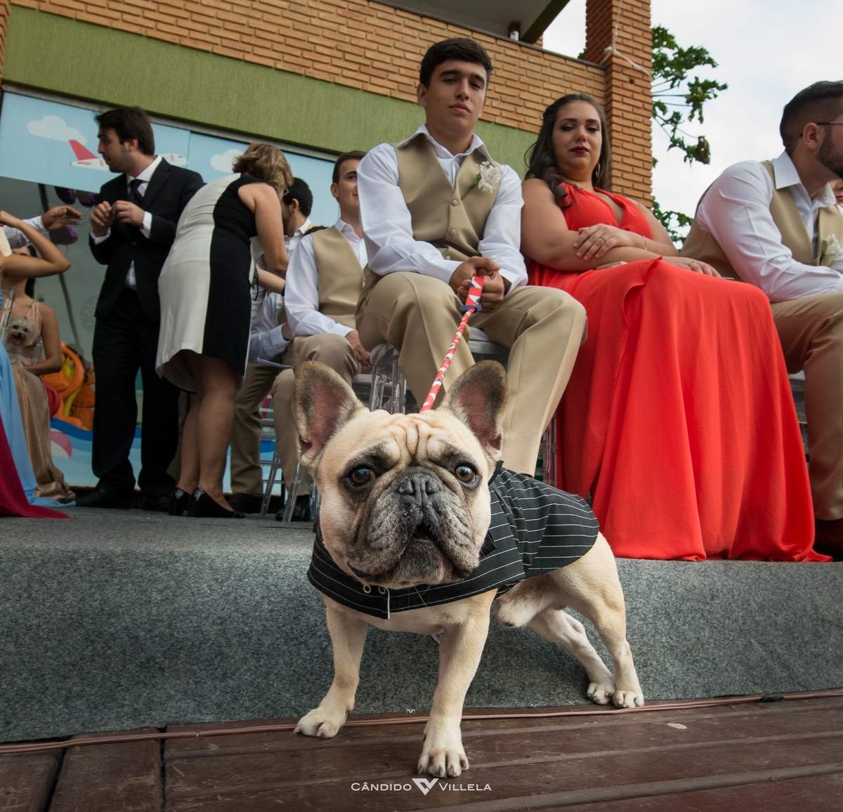 Casamento em Búzios, Paula Pessanha e Guilherme, 12/08/2017 no Costa do Sol Boutique Hotel em Búzios. Banda Rabuja, Decoração da NB Decora, Fotografia do Candido Vilella e Grupo Musical Violive para um inesquecivel. Foto 17