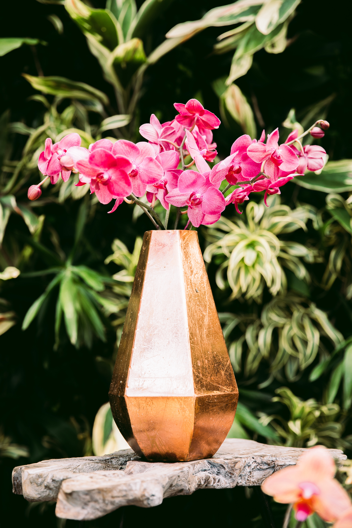 EF Cerimonial-Casamento em Búzios. Paula e Gabriel 2018. Buffet Privilege, Guilherme Tona, Casaba Filmes, MAquiagem Gabi Back, Decoração: Caca Porto e Jardim de Ornamentos. Vestido de noiva MArtu. DJ Dentinho da Playback e Aração LivOn e Violive. FOTO 36