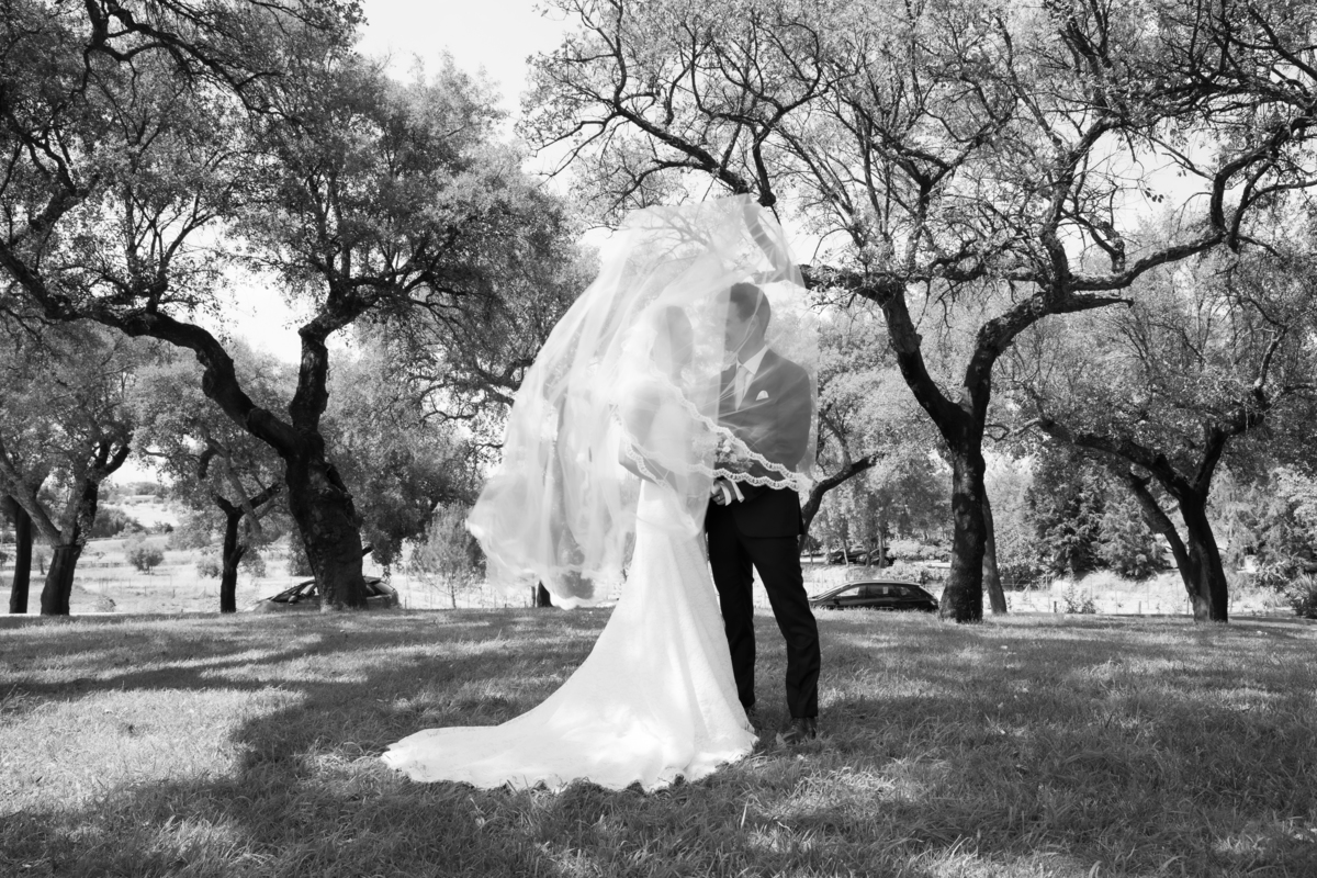 Noivos juntos em jardim a preto e branco