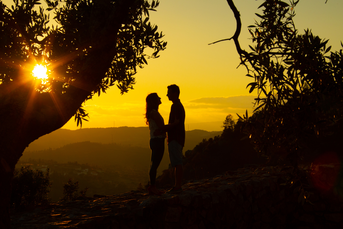 Raios de sol atravessem fissura em tronco de árvore com silhueta de casal ao lado