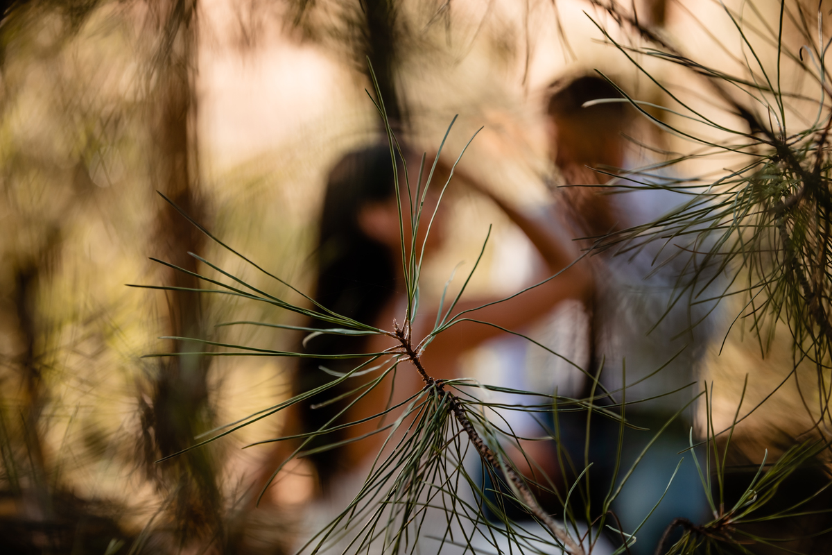 casamento-marateca-sessao-pos-casamento