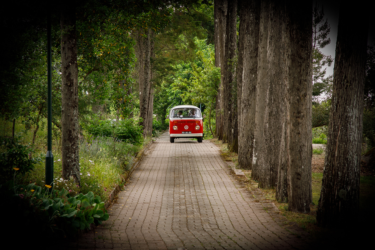 Uma foto com vinheta mostra um longo caminho ladeado por árvores alinhadas e erva verde, ao fundo uma VW Pão de Forma vermelha avança em direção à câmara, transportando um sonho em movimento, um símbolo de viagem e aventura para o casal.