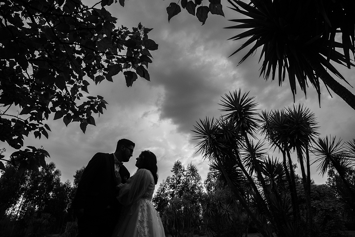 Em preto e branco e a partir de um ângulo contrapicado, Tiago e Carolina olham-se apaixonadamente de frente, enquanto ao fundo se desenham árvores e palmeiras sob um céu dramático, um retrato clássico e cheio de sentimento.