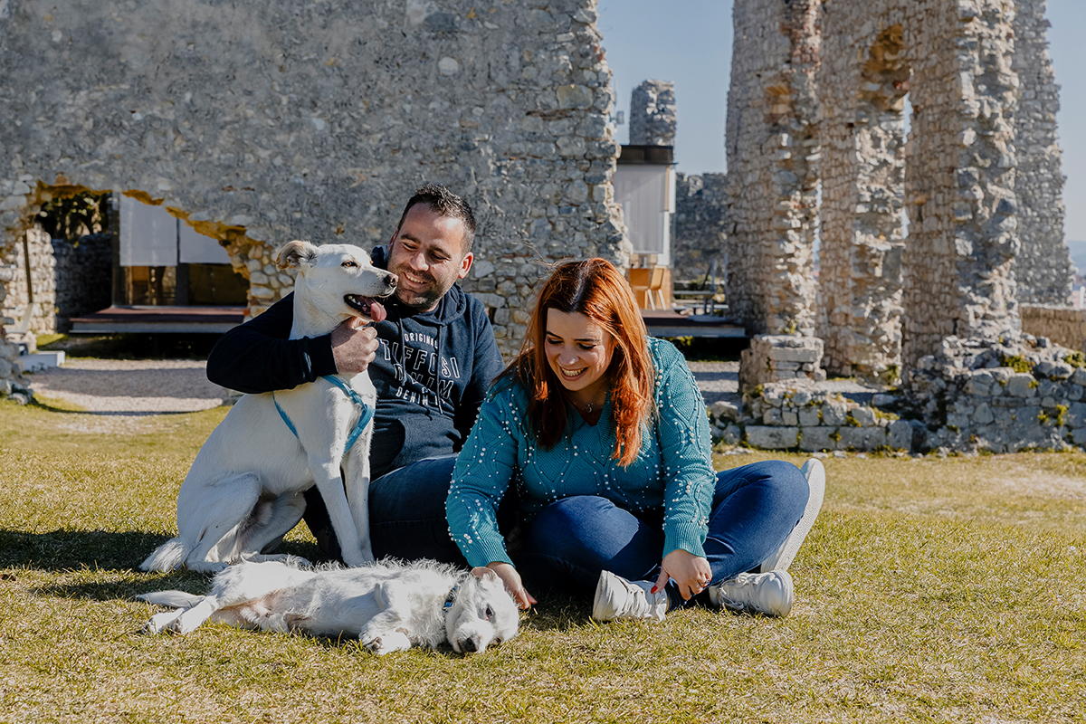 Sobre a relva, a ternura multiplica-se. Ricardo afaga o cão maior com um abraço caloroso, enquanto Mónica acaricia o mais pequeno. Sorrisos e olhares trocados entre humanos e animais revelam a pureza deste instante.