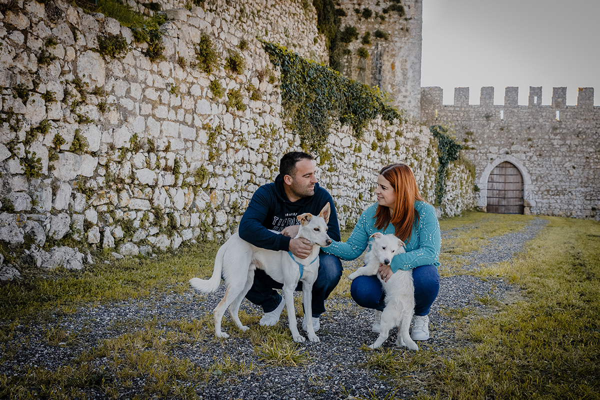 Agachados entre pedritas e erva, os dois acariciam os seus fiéis companheiros de quatro patas. O riso nos rostos e o carinho nas mãos pintam um quadro de alegria e harmonia.